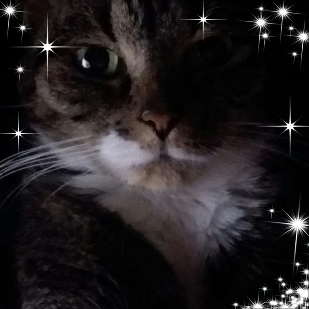 Meet your Posher, Ginar